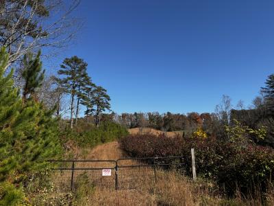 Asheville 28 Acres - Image# 1