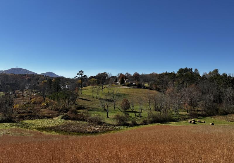 Asheville 28 Acres - Image# 5