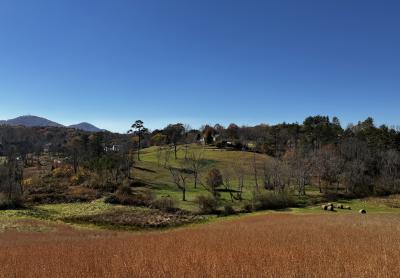 Asheville 28 Acres - Image# 5