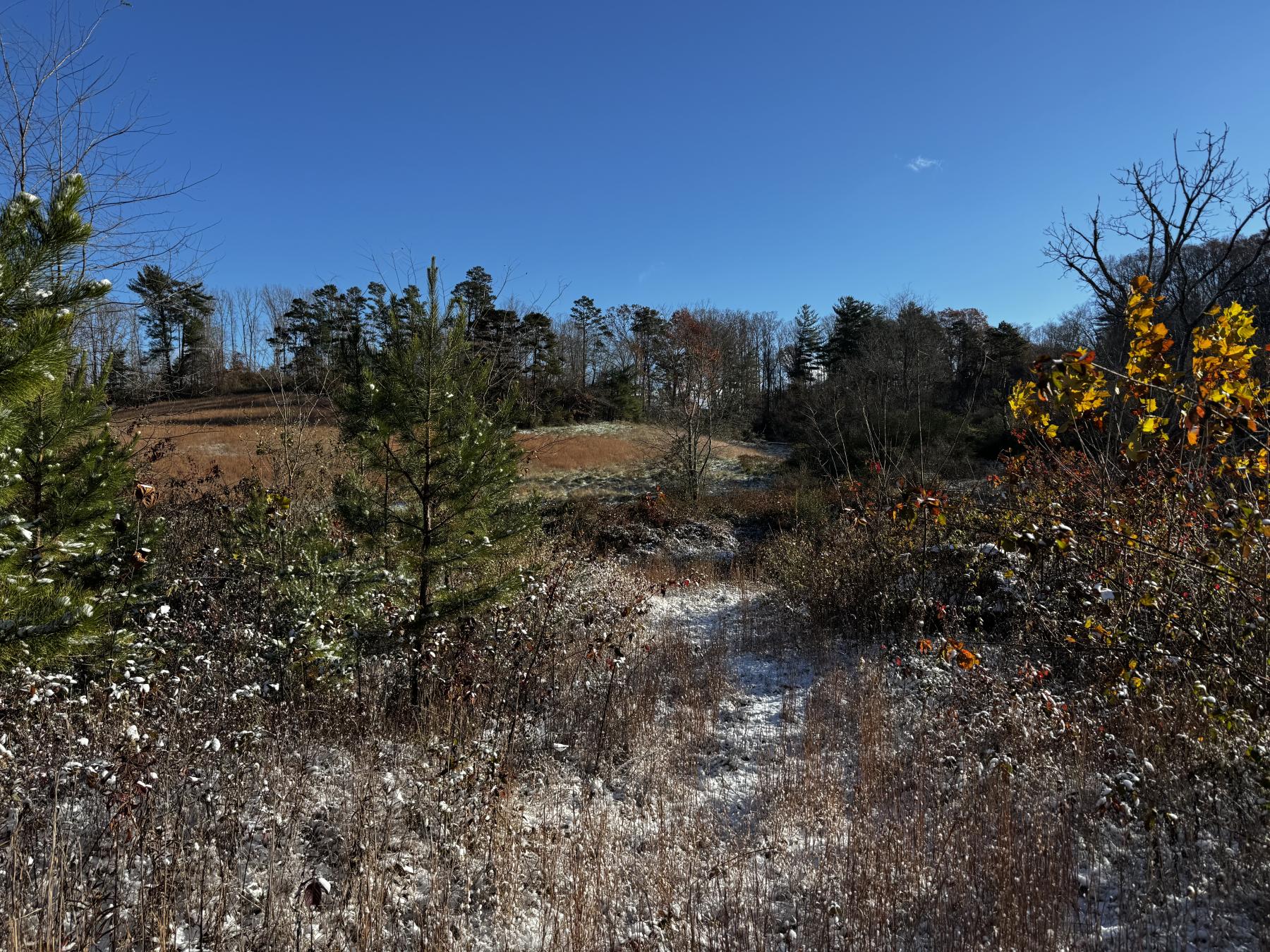 Asheville 28 Acres - Image# 44