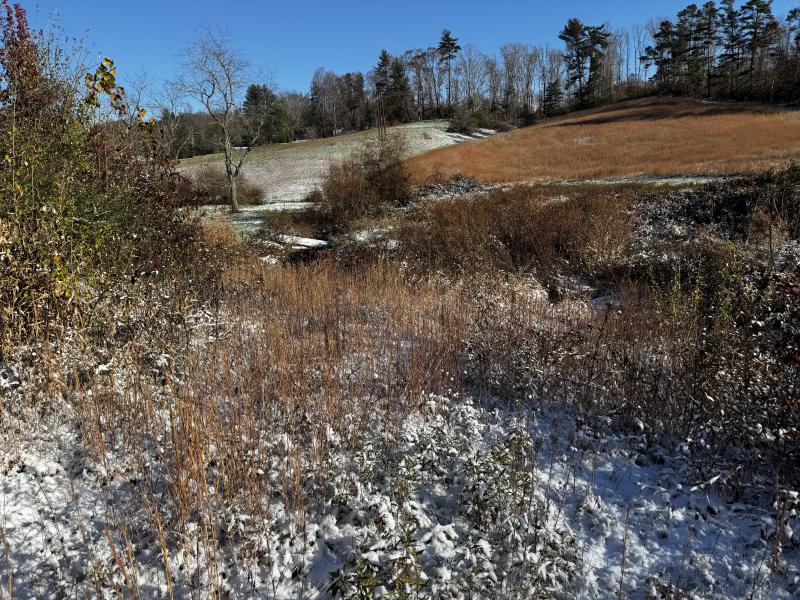 Asheville 28 Acres - Image# 43