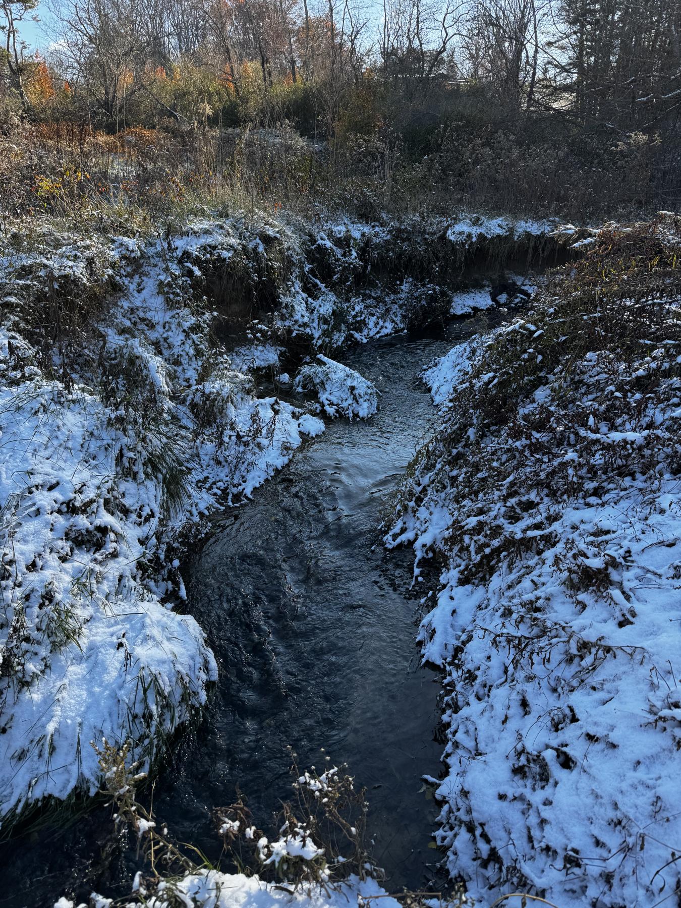 Asheville 28 Acres - Image# 42