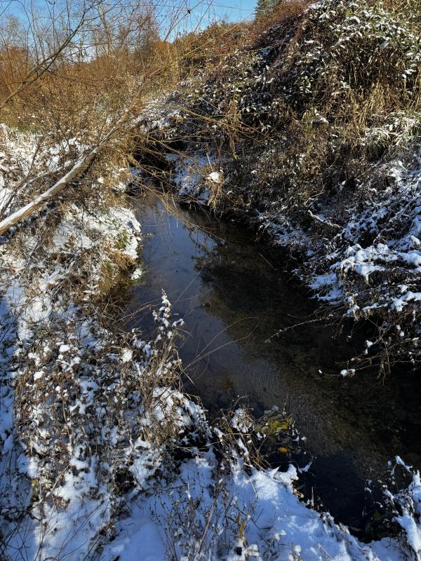 Asheville 28 Acres - Image# 41