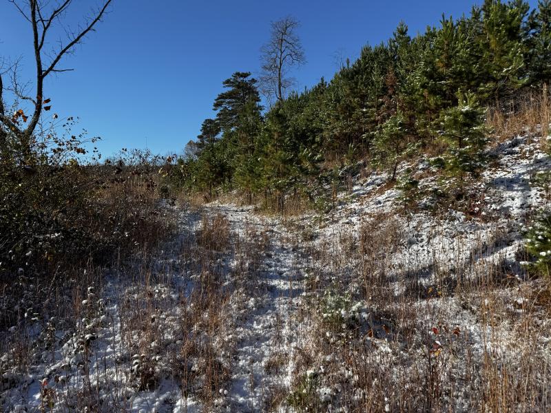 Asheville 28 Acres - Image# 40