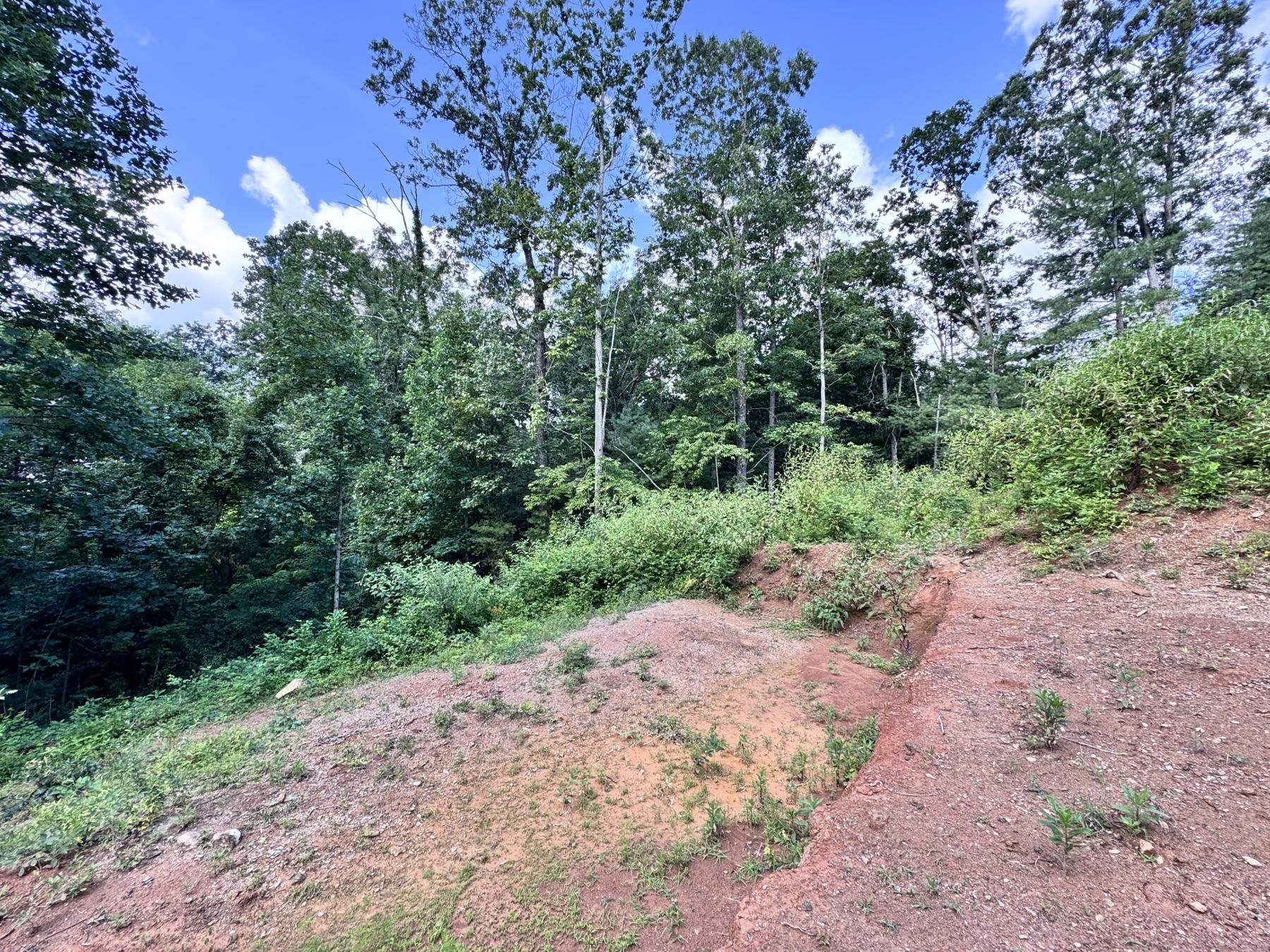 WinterHawk Lots Arden - Image# 8