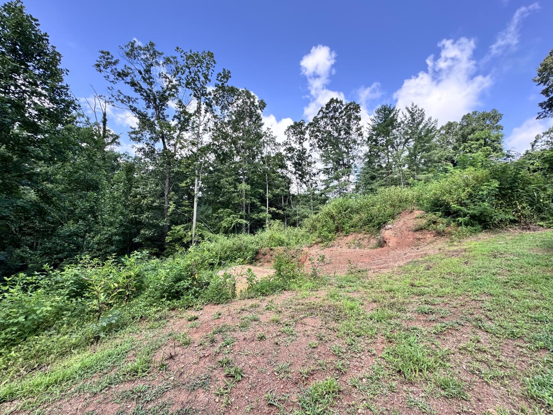 WinterHawk Lots Arden - Image# 5