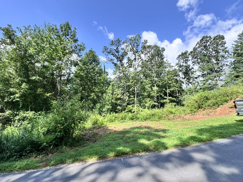 WinterHawk Lots Arden - Image# 7