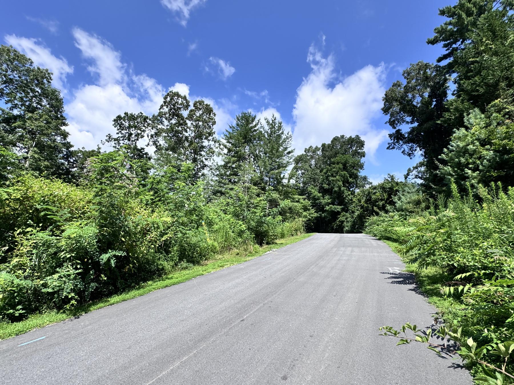 WinterHawk Lots Arden - Image# 6