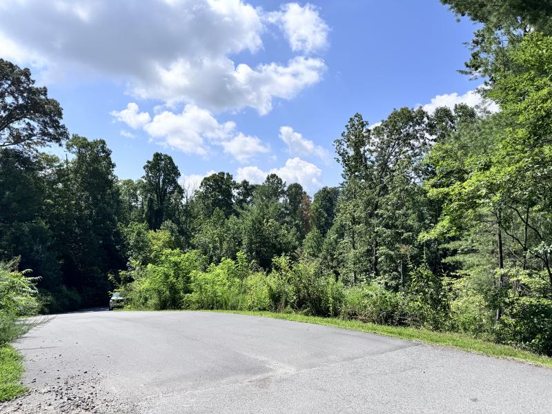 WinterHawk Lots Arden - Image# 3