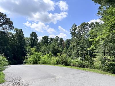 WinterHawk Lots Arden - Image# 3