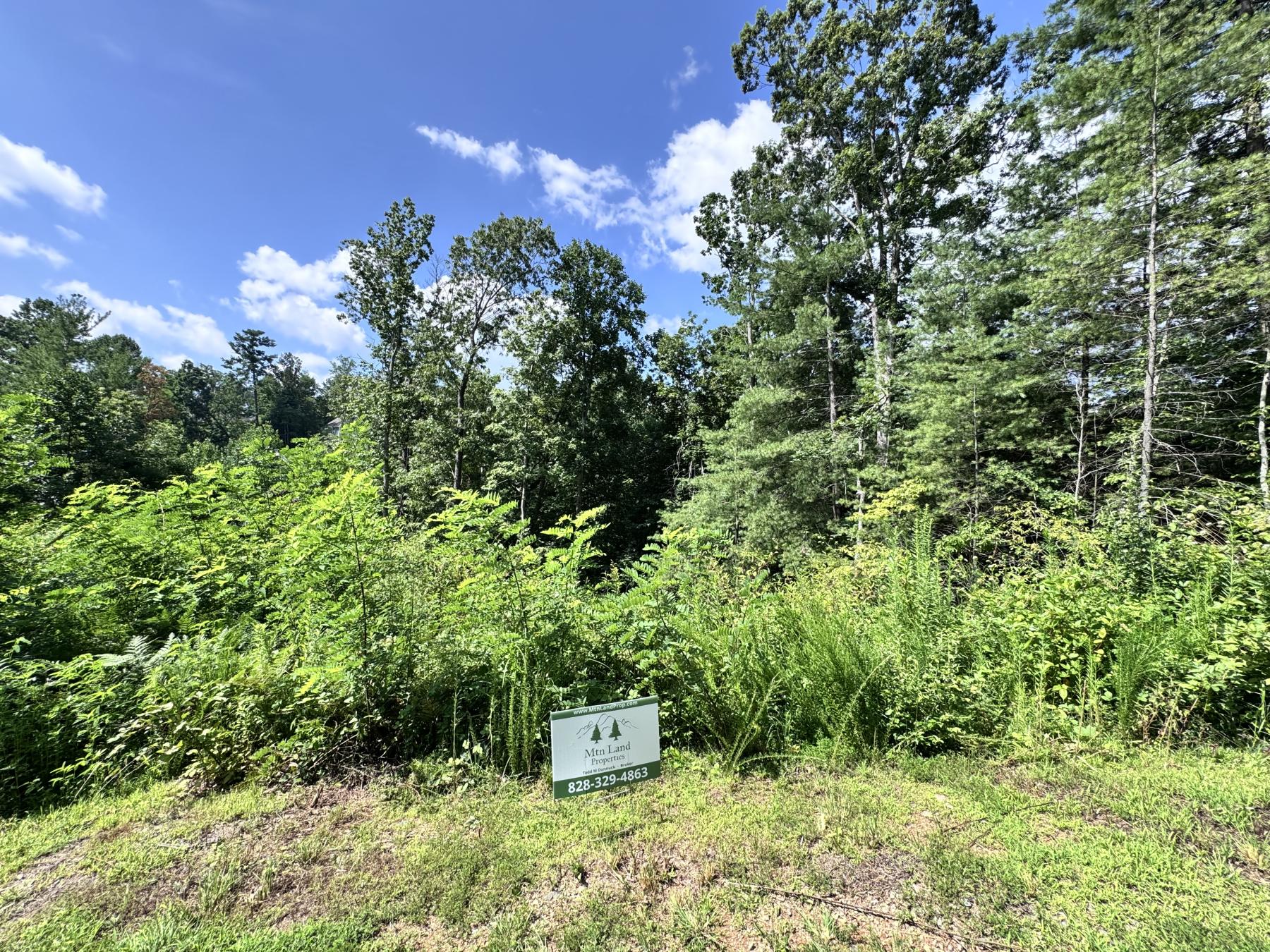 WinterHawk Lots Arden - Image# 2