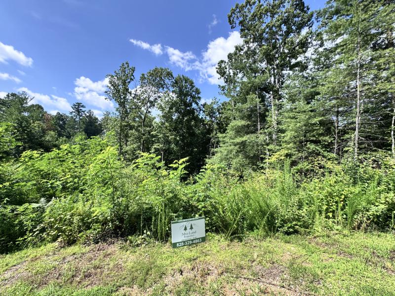 WinterHawk Lots Arden - Image# 2