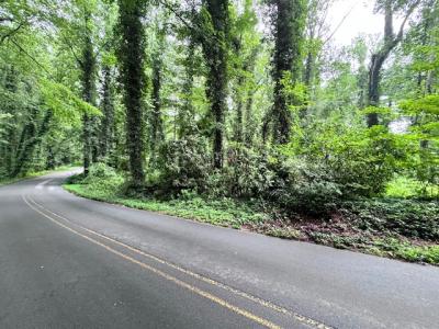 Flat Rock Forest Lots - Image# 1