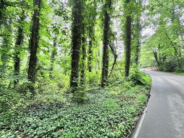 Flat Rock Forest Lots - Image# 4