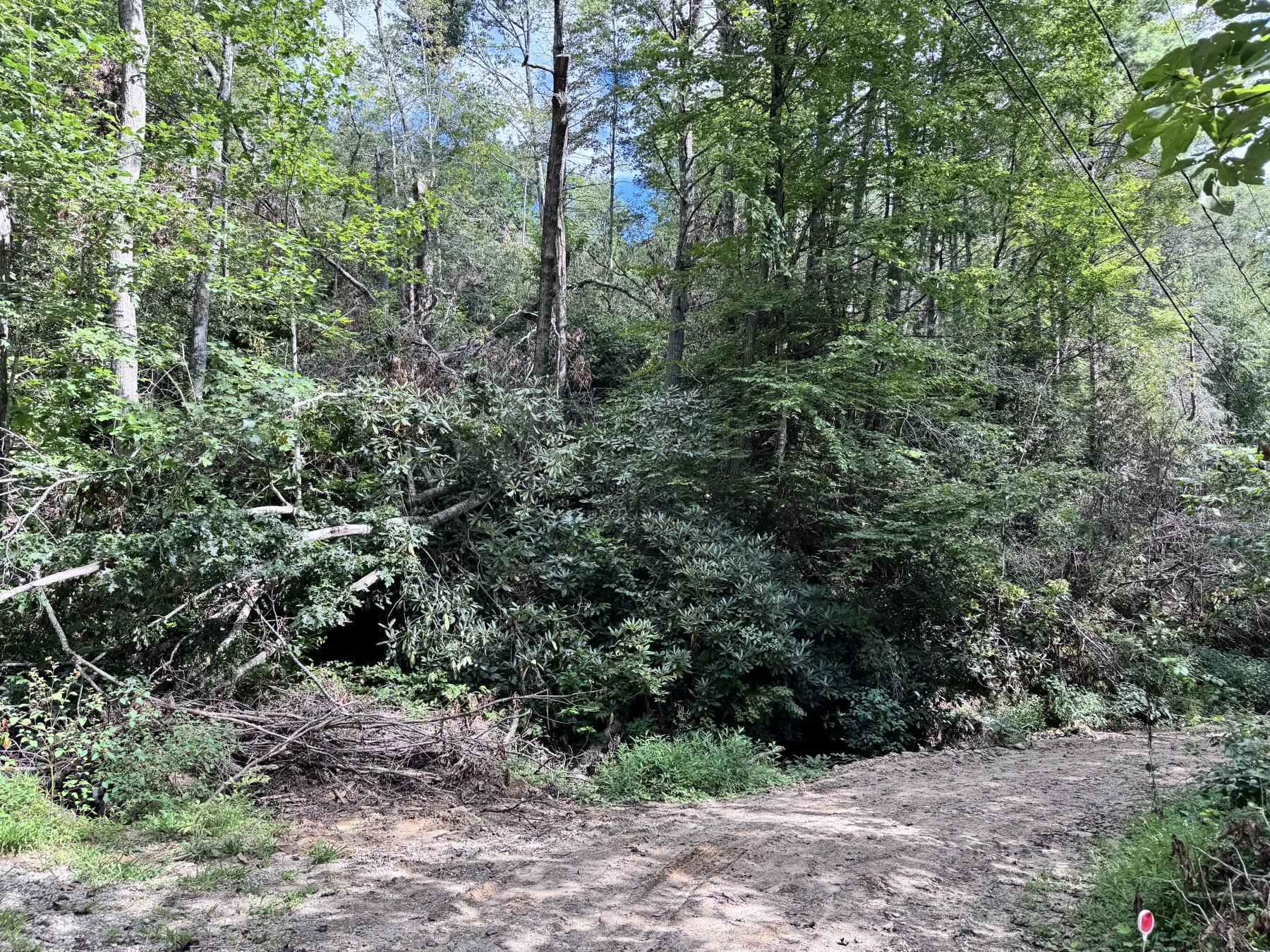 Edneyville 10 Acres - Image# 6