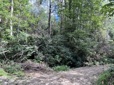 Edneyville 10 Acres - Image# 6