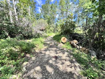 Edneyville 10 Acres - Image# 8