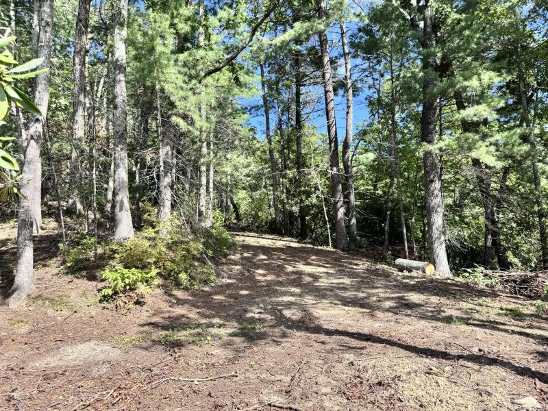 Edneyville 10 Acres - Image# 12