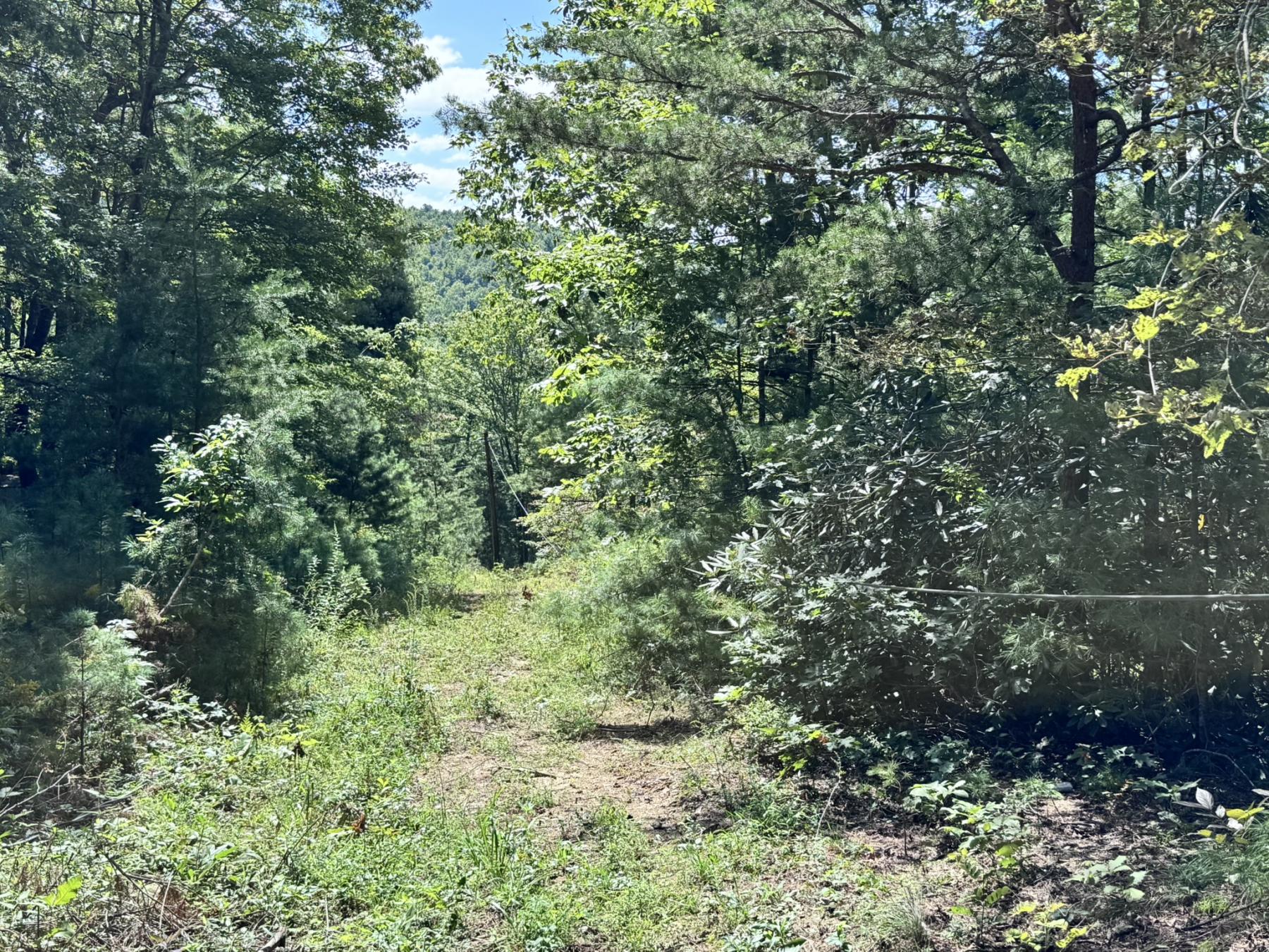 Edneyville 10 Acres - Image# 14