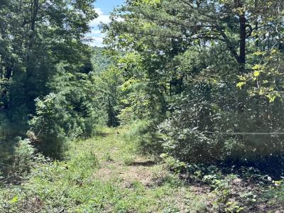 Edneyville 10 Acres - Image# 14