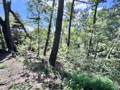 Edneyville 10 Acres - Image# 15