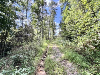 Edneyville 10 Acres - Image# 3