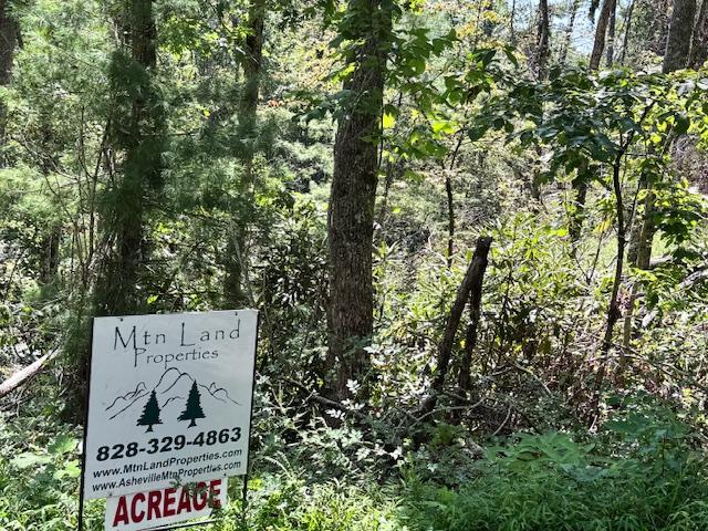 Edneyville 10 Acres - Image# 17