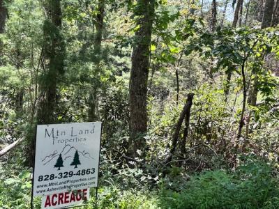 Edneyville 10 Acres - Image# 17