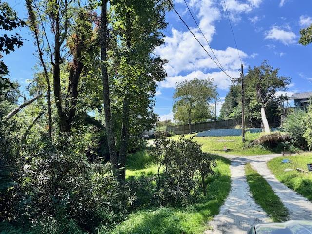 Edneyville 10 Acres - Image# 19