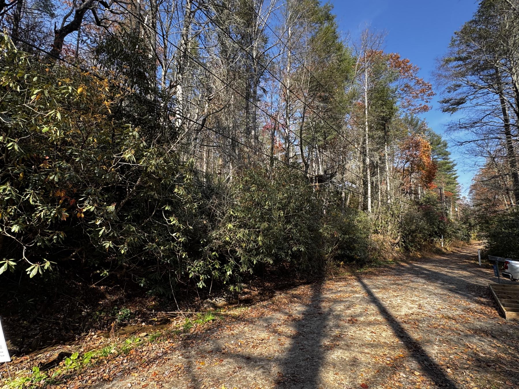 Edneyville 10 Acres - Image# 34