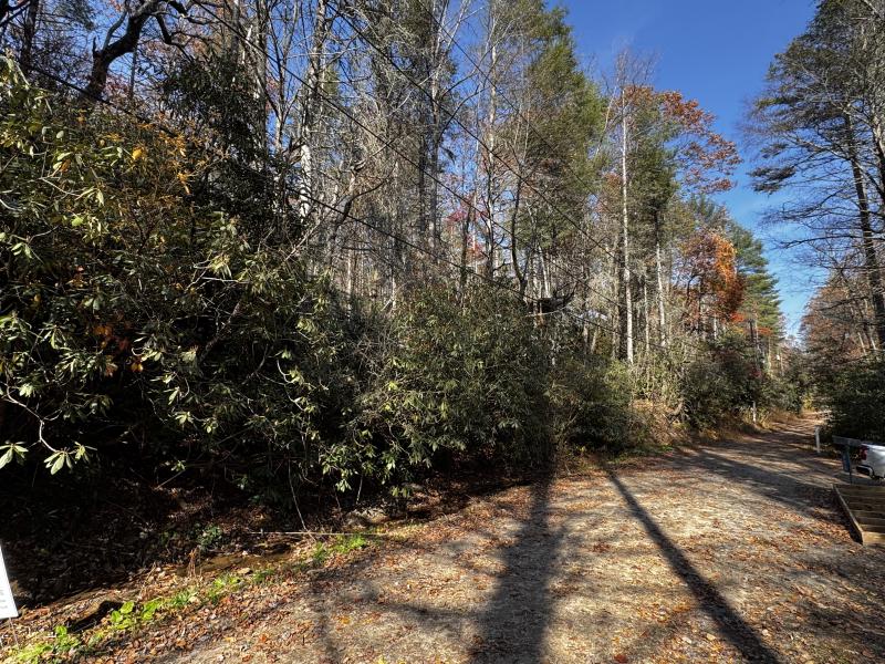 Edneyville 10 Acres - Image# 34