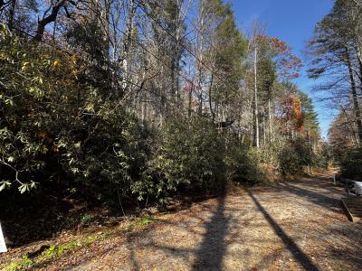 Edneyville 10 Acres - Image# 34