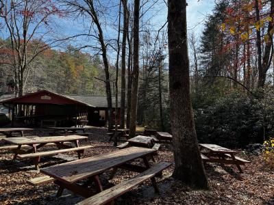 Edneyville 10 Acres - Image# 33