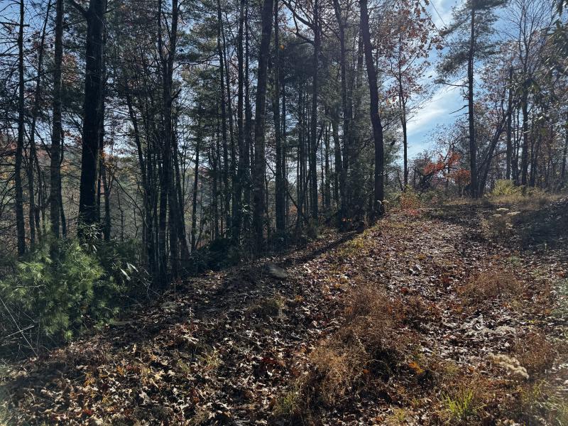 Edneyville 10 Acres - Image# 31