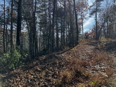 Edneyville 10 Acres - Image# 31