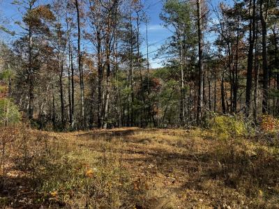 Edneyville 10 Acres - Image# 30