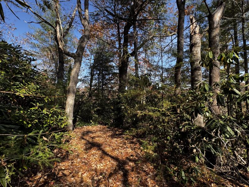 Edneyville 10 Acres - Image# 28