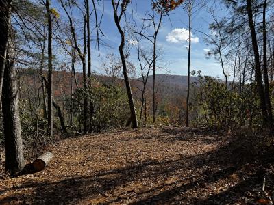 Edneyville 10 Acres - Image# 24