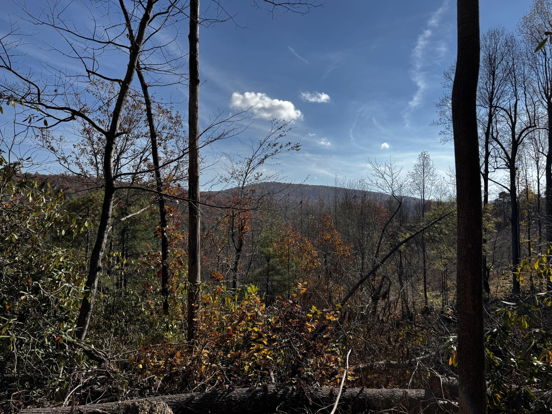 Edneyville 10 Acres - Image# 1