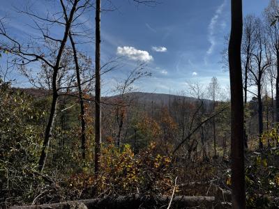 Edneyville 10 Acres - Image# 1