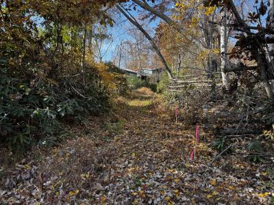 Edneyville 10 Acres - Image# 22