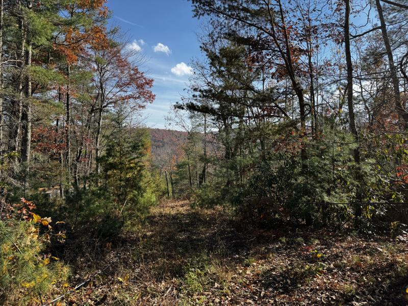 Edneyville 10 Acres - Image# 20