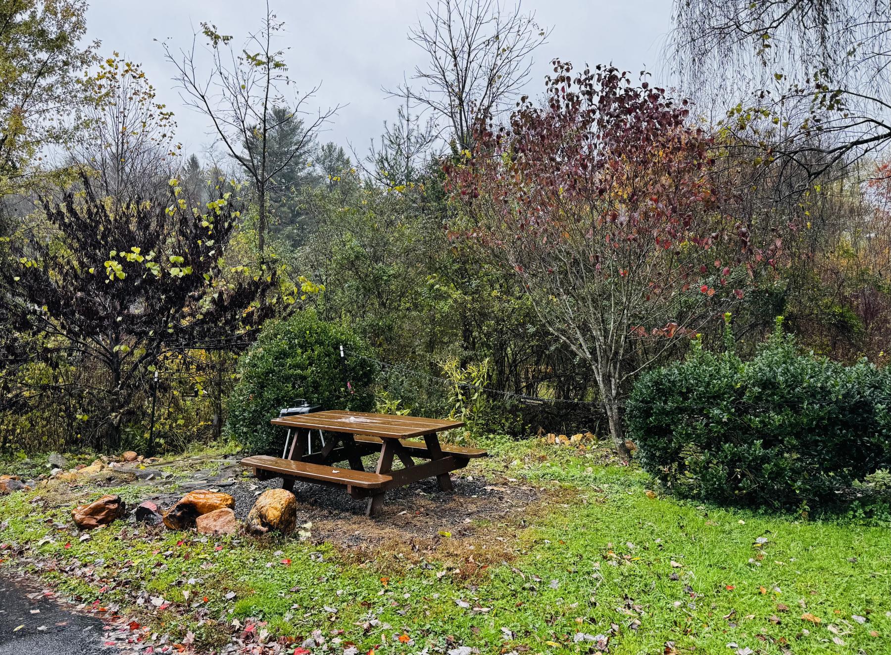 Hazelwood Condo - Image# 18