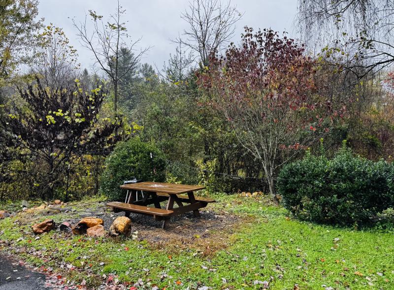 Hazelwood Condo - Image# 18