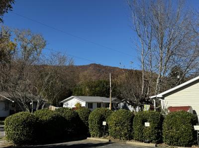 Hazelwood Condo - Image# 23