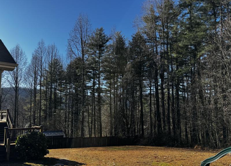 Hendersonville Home - Image# 40