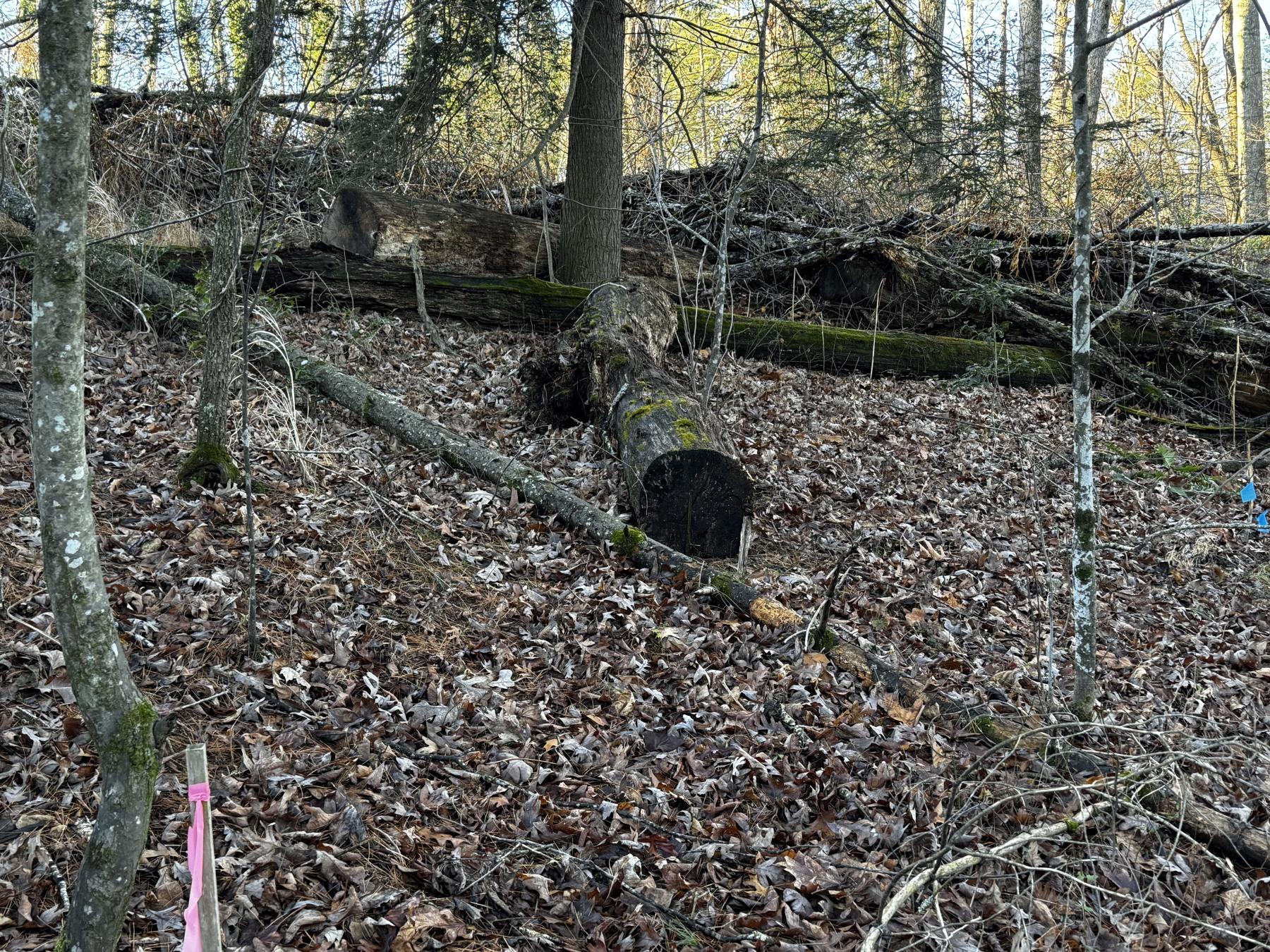 Fletcher Land- Westview - Image# 14