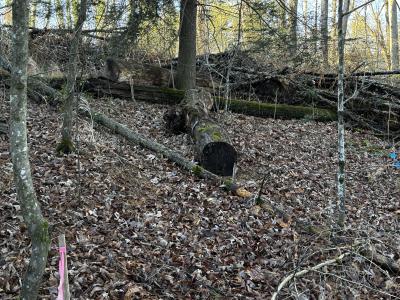 Fletcher Land- Westview - Image# 14