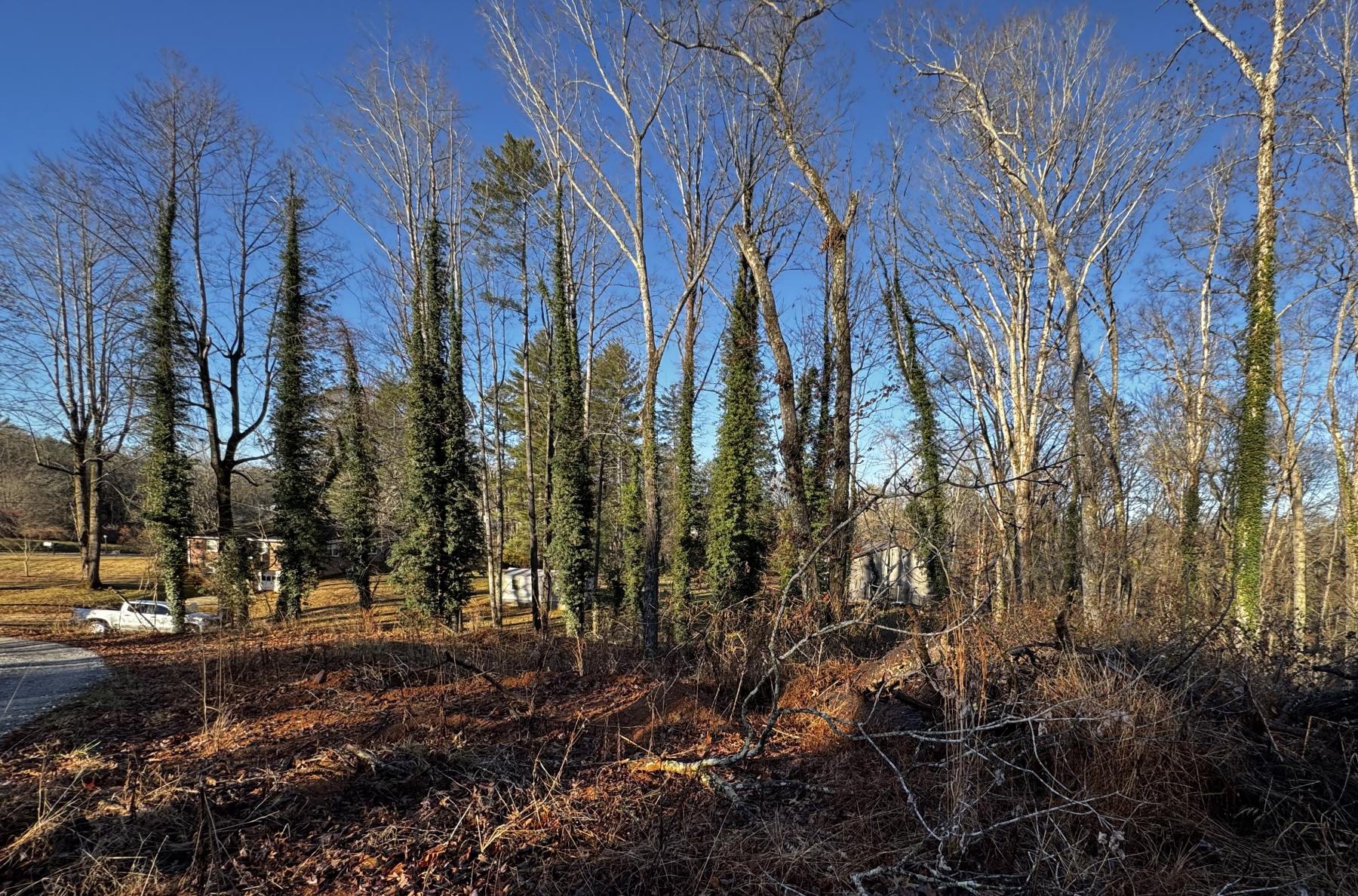 Fletcher Land- Westview - Image# 11