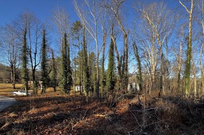 Fletcher Land- Westview - Image# 11